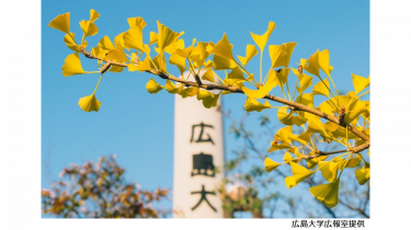 [Hiroshima University] Online Program in Japanese Language and Culture